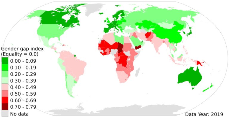 gender-inequality-index-vivid-maps