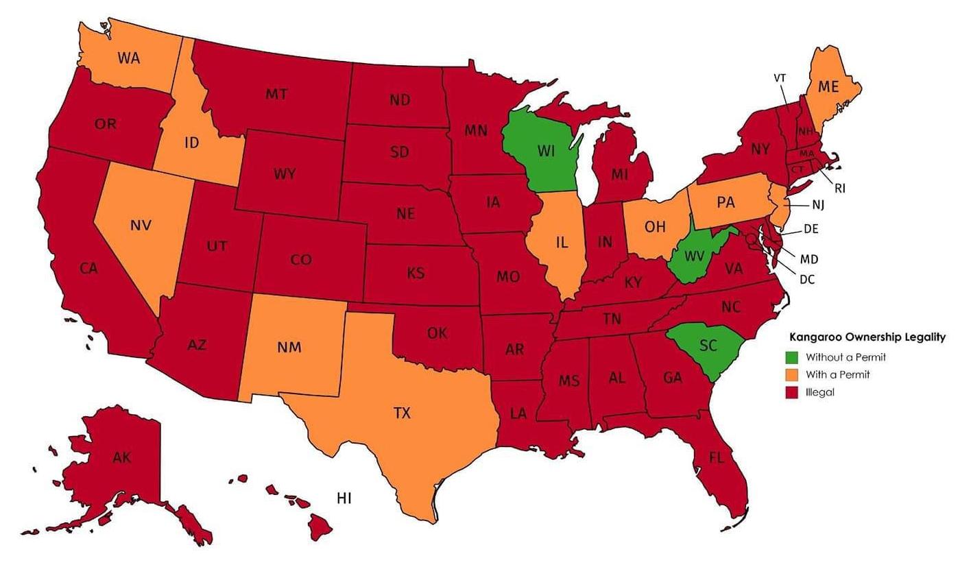 exotic-animal-laws-by-u-s-state-mapped-vivid-maps