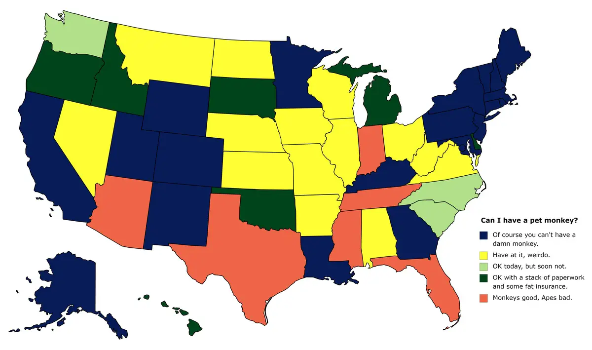 Exotic Animal Laws By U S State Mapped Vivid Maps