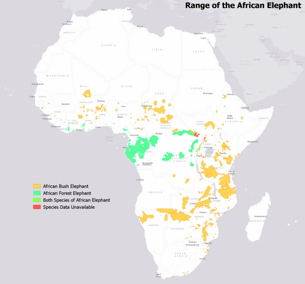 Map of the range of the African elephants
