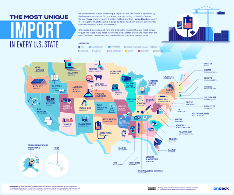 Every State's Top Import and Export Mapped Vivid Maps