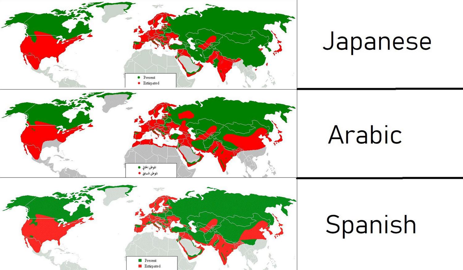 Wiki map