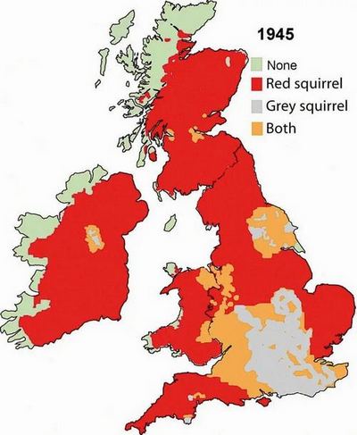 Map of squirrels in Great Britain in 1945