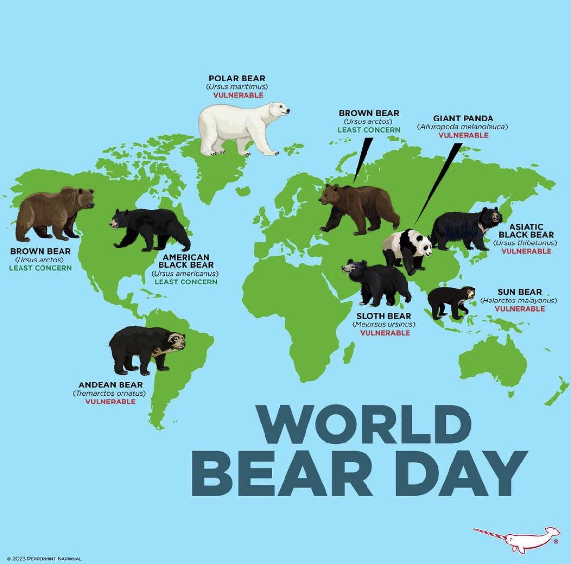 World Map Of The Bear Population Vivid Maps