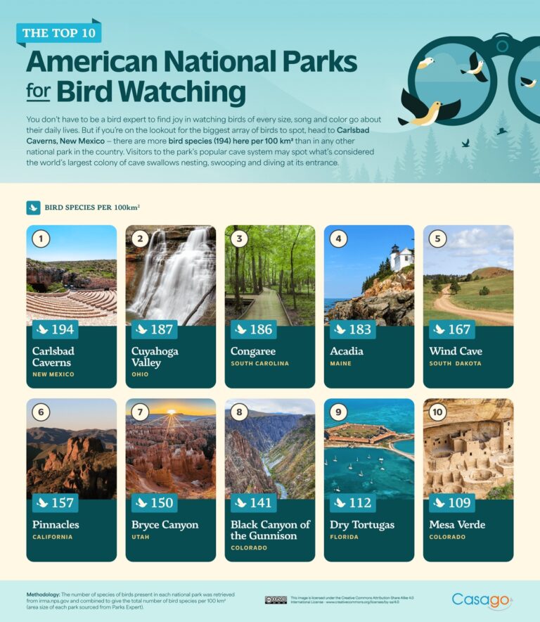 The Best National Parks In The United States For Wildlife Spotting