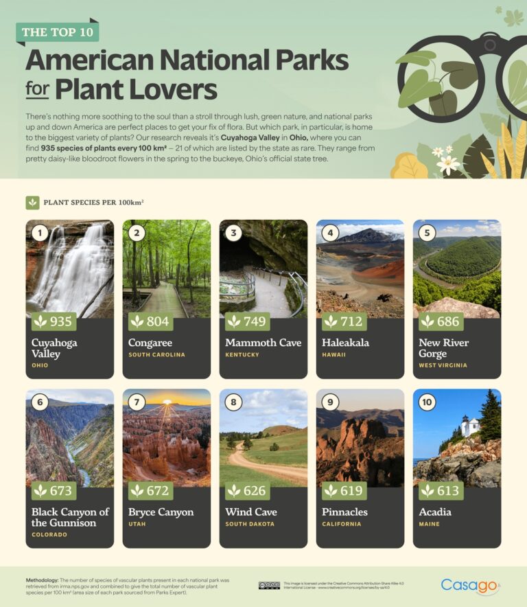 The Best National Parks In The United States For Wildlife Spotting