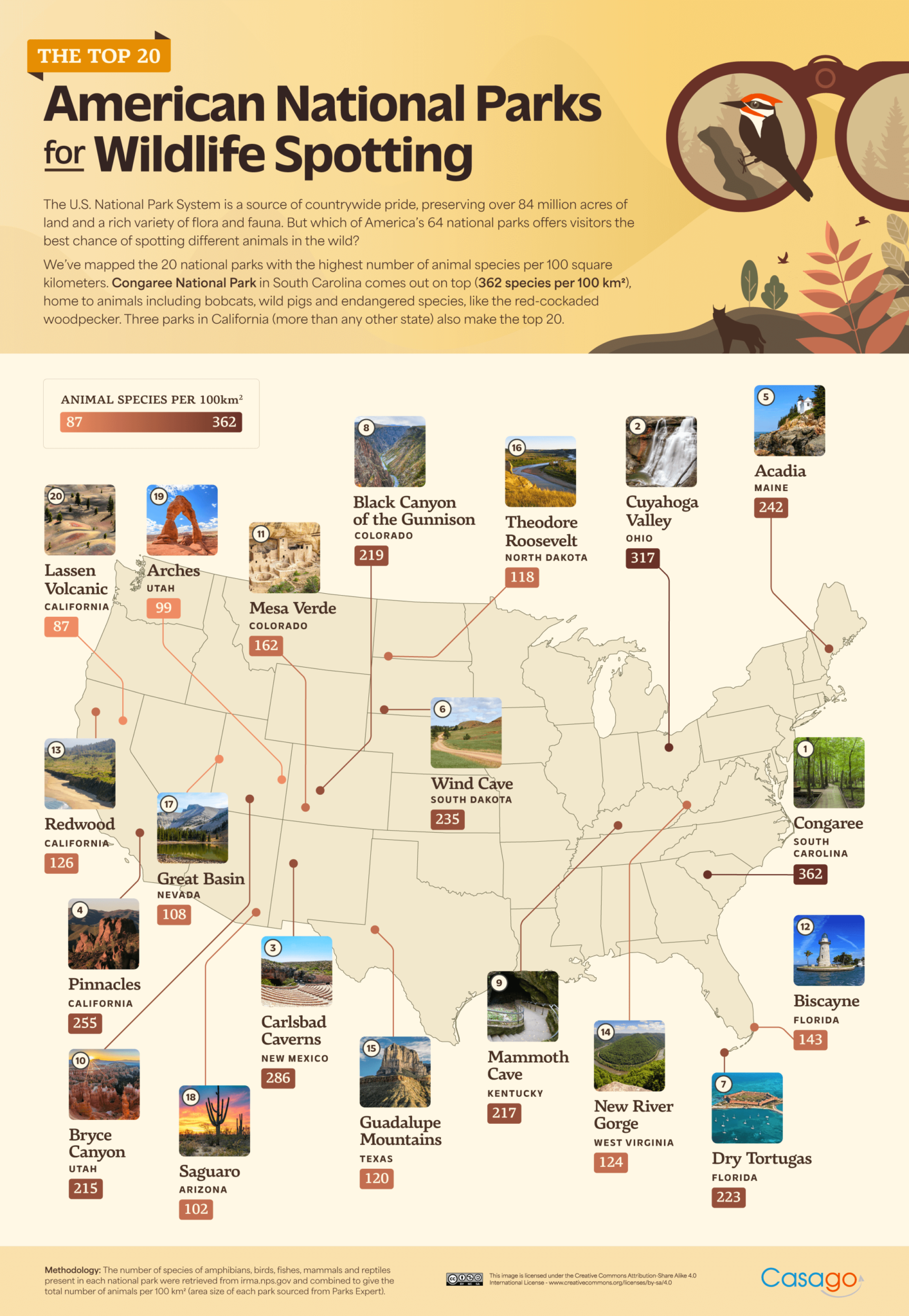 The Best National Parks In The United States For Wildlife Spotting ...