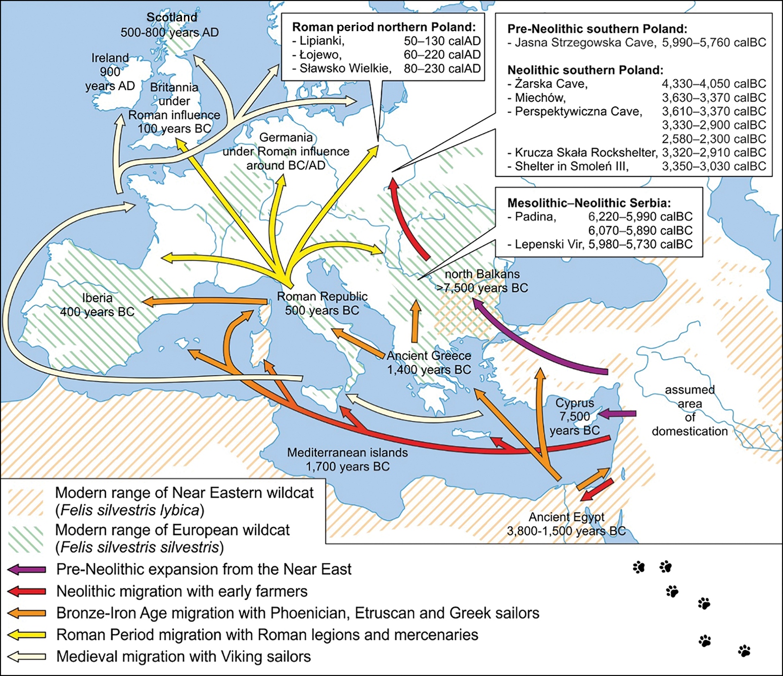 How cats migrated to Europe Mapped