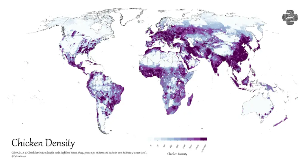 World map of chicken density