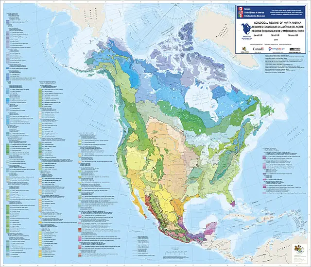 Map poster of ecoregions of North America