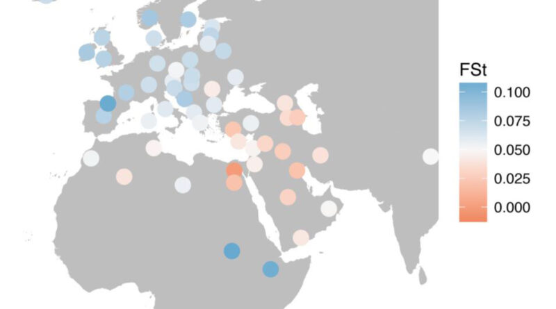 Genetic distances between ancient Egyptian mummy DNA and modern populations