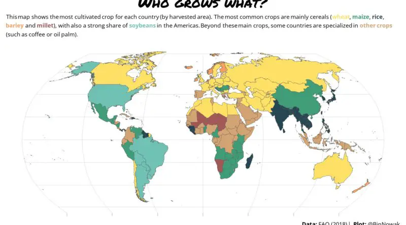 The most cultivated crops in the world