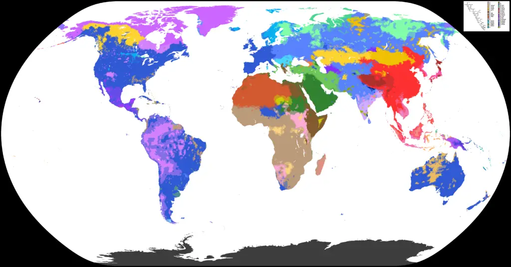 haplogroup map of the world