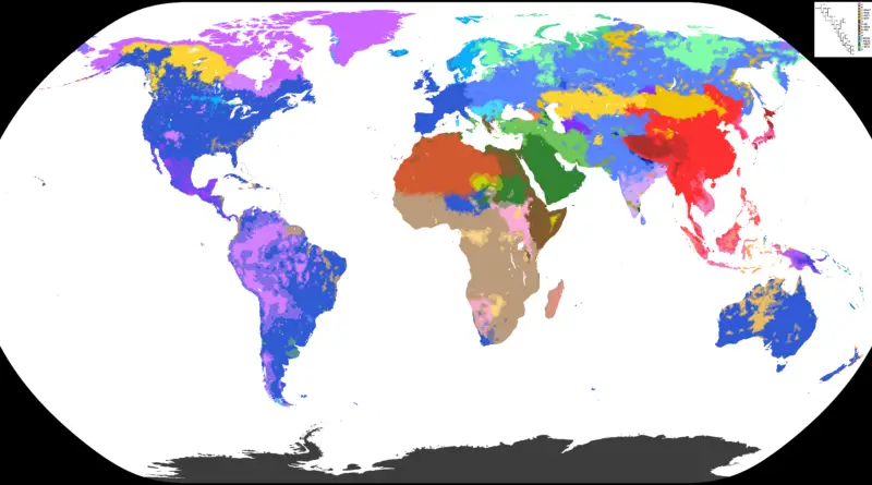 World map of Y-DNA Haplogroups