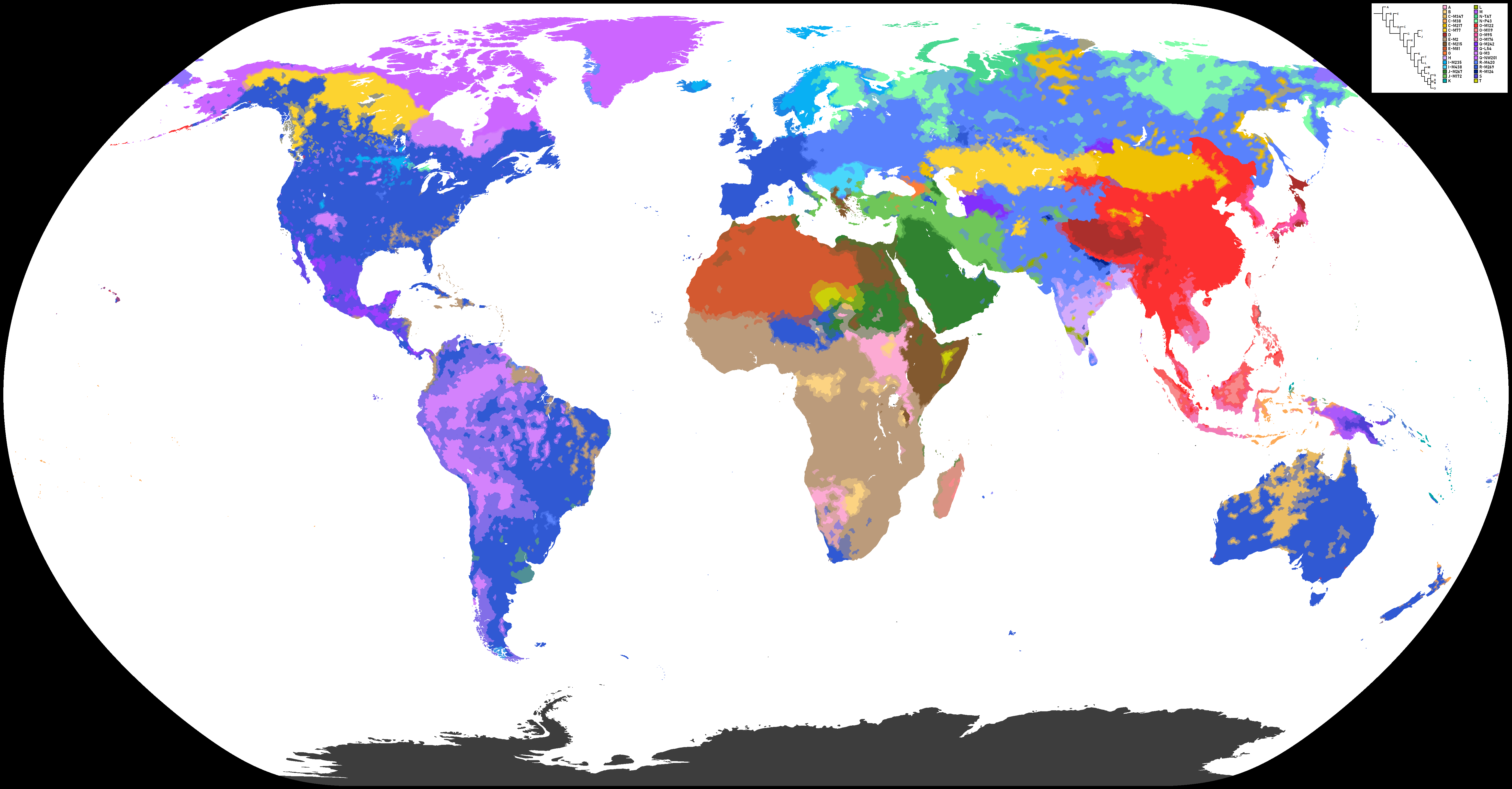 World map of Y-DNA Haplogroups