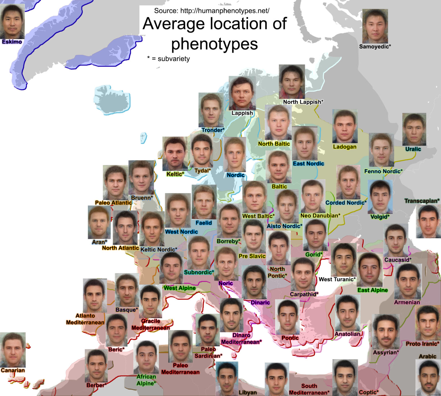 Human Phenotypes Mapped - Vivid Maps