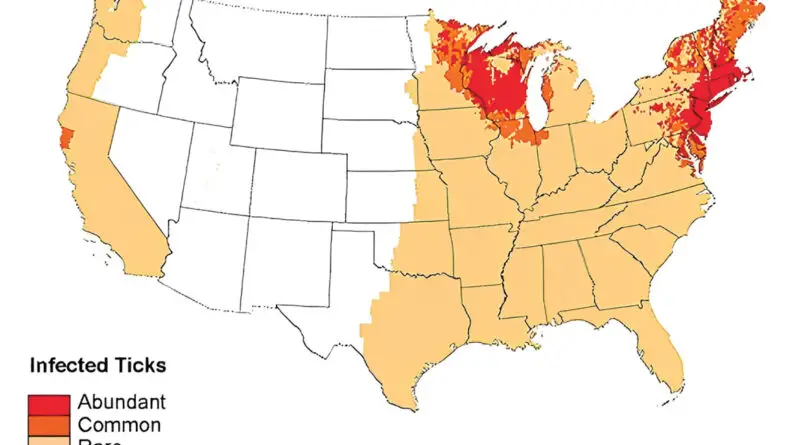 Lyme disease in the United States