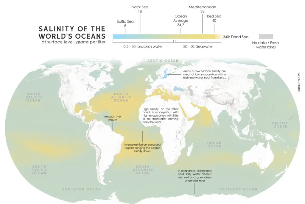 Salinity of the world's oceats at surface level