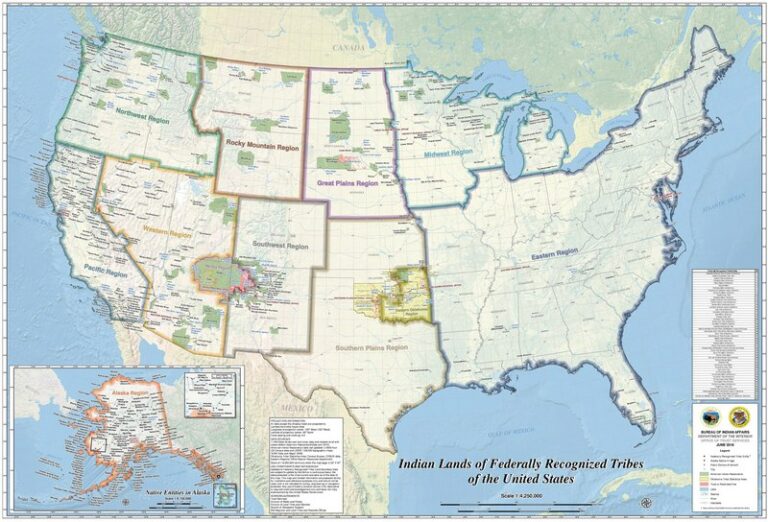 Native Americans in the United States: A Living Legacy - Vivid Maps