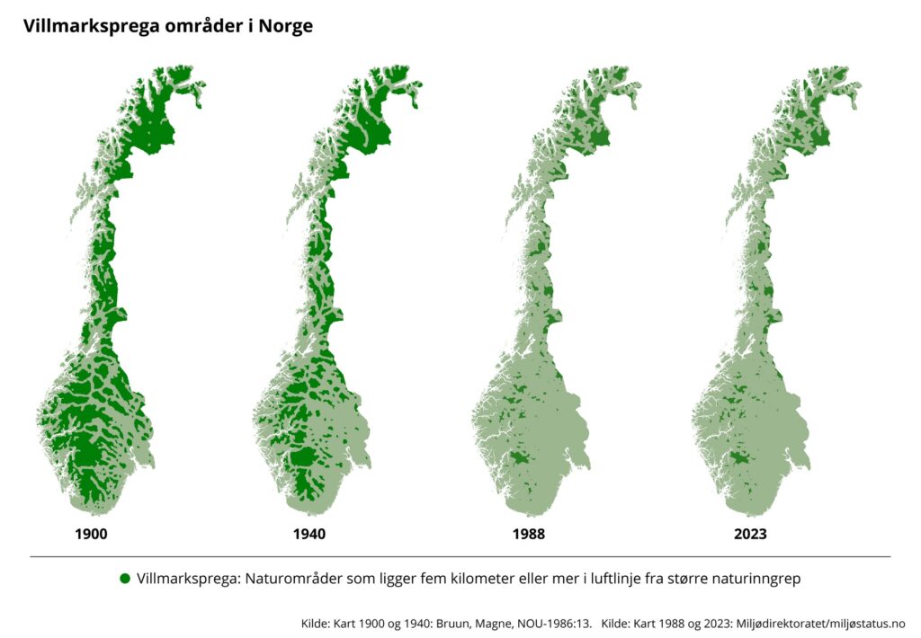 Untouched forests of Norway mapped