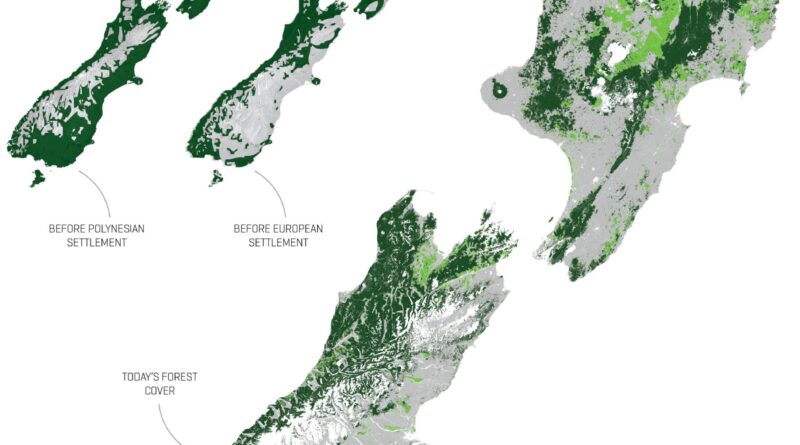 Deforestation in New Zealand mapped