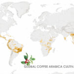 Global Coffee Arabica Cultivation Mapped