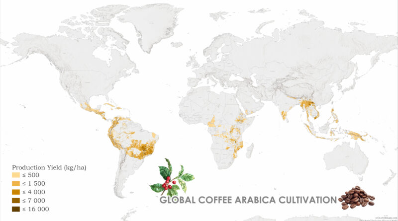 Global Coffee Arabica Cultivation Mapped