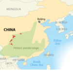 Giant pandas range mapped