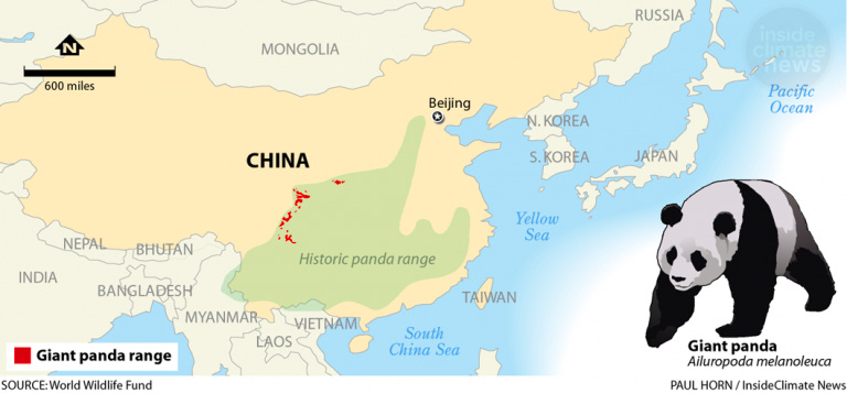 Giant pandas range mapped