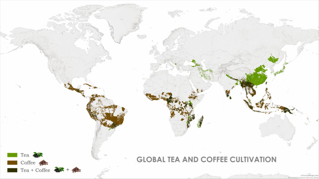 Global Tea and Coffee Cultivation Mapped