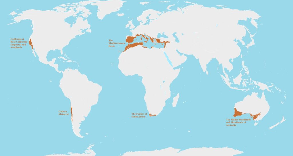 Mediterranean biomes mapped