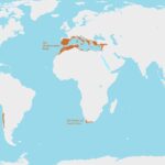 Mediterranean biomes mapped
