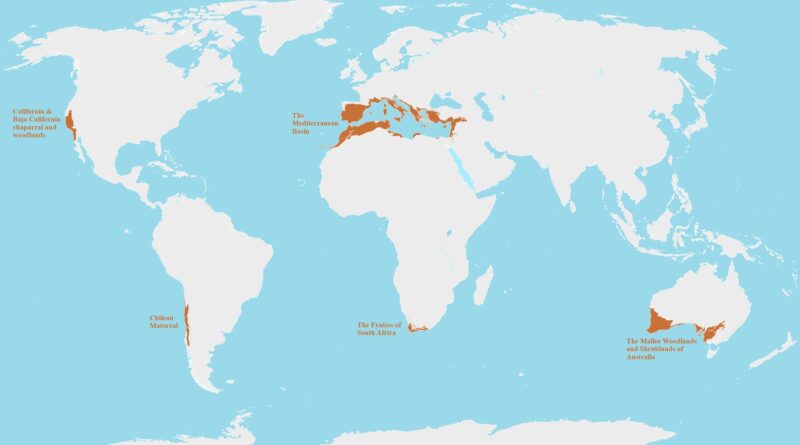 Mediterranean biomes mapped