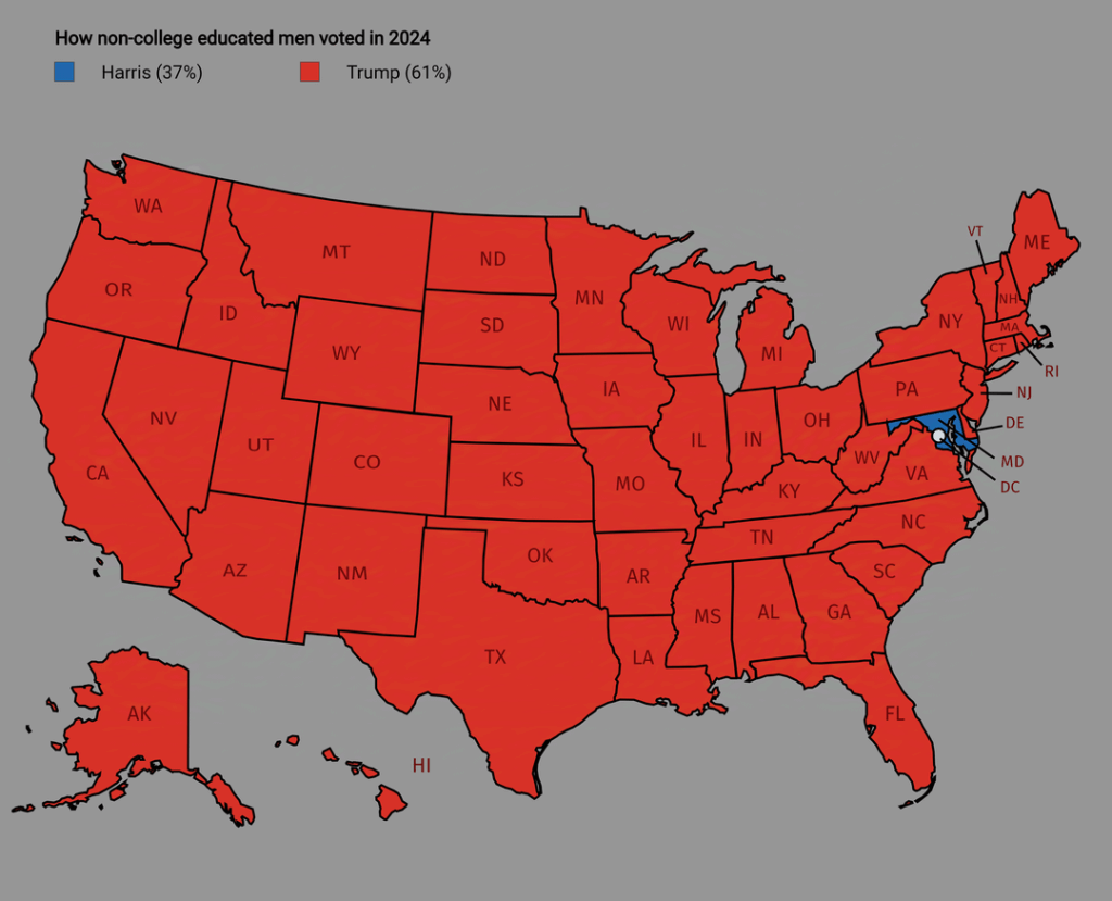How non-college educated men voted in 2024 mapped