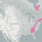 Mapped: How long is Norway? (Norway vs United States)