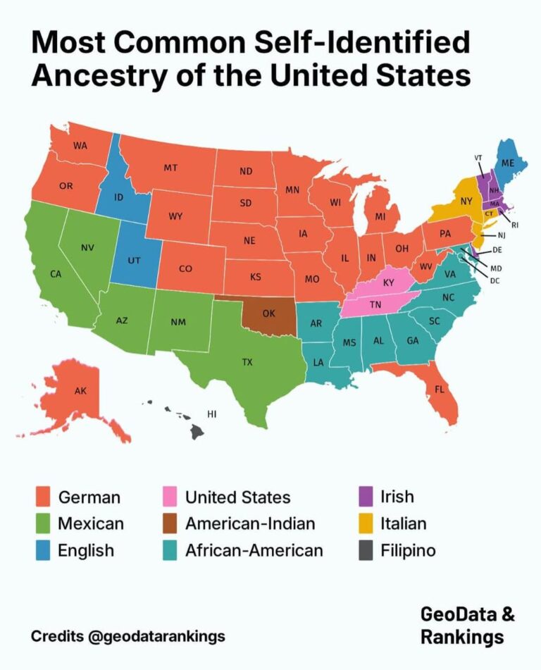 The Most Common Ancestry in Every US State - Vivid Maps