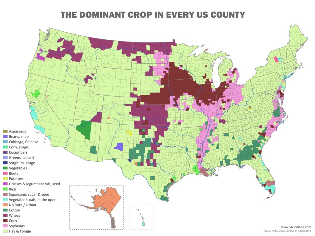 Dominant crop in every US county mapped