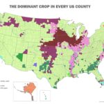 The Dominant Crop in Every US County Dominant crop in every US county mapped