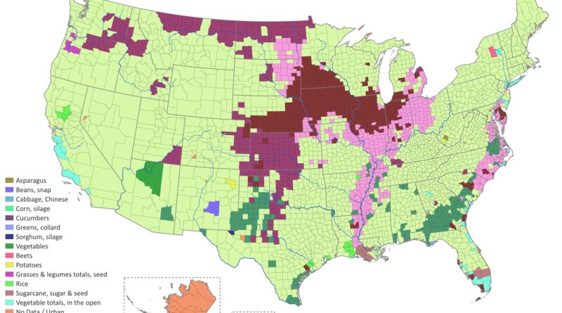 Dominant crop in every US county mapped