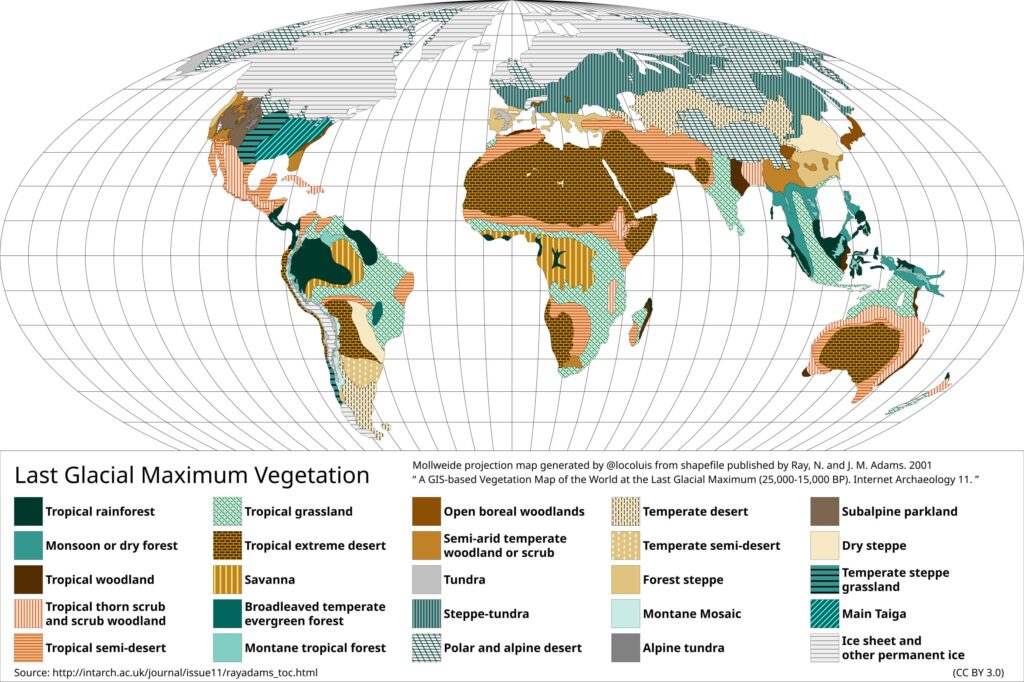 Last Glacial Maximum Vegataion World Map