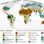 Last Glacial Maximum Vegataion World Map