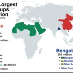 Largest ethnic groups in the world