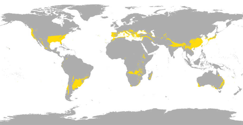 Zones with subtropical climate in the world