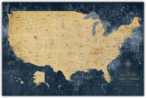 United States Push Pin map