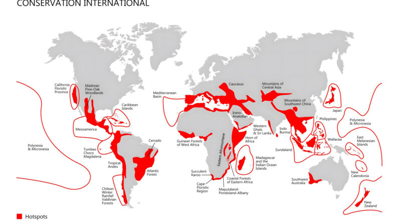 The map that shows key hotspots in the world.