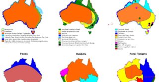 Australian stereotypes mapped