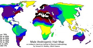 Percentage of the population with body hair due to to selection pressures