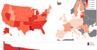 Homicides rate