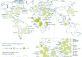 Mega cities