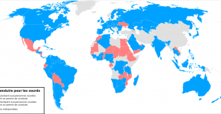 In 26 countries, deaf people are not allowed to drive a car